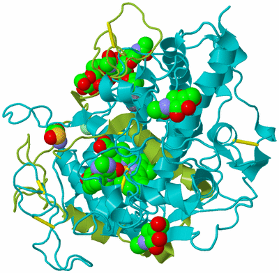 Image Biological Unit 11