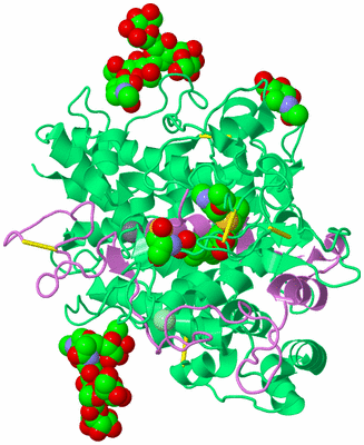 Image Biological Unit 12