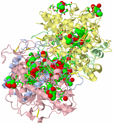 Image Biol. Unit 1 - sites