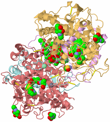 Image Biological Unit 2