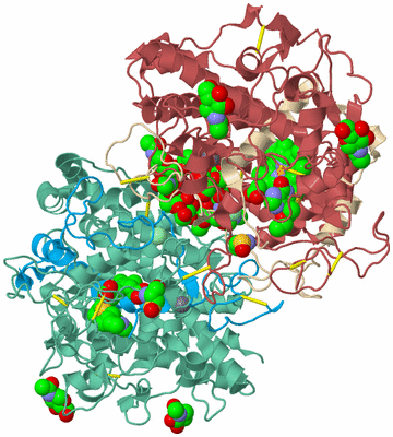 Image Biological Unit 3