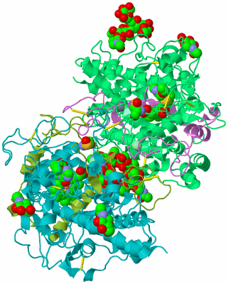 Image Biological Unit 4