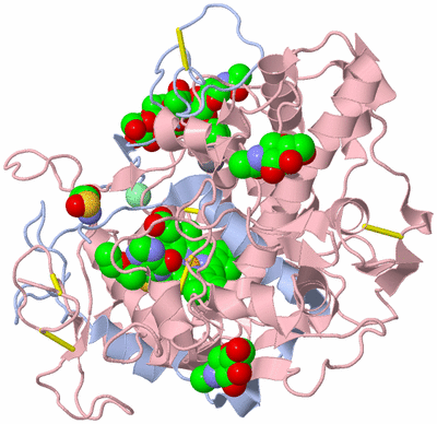 Image Biological Unit 5