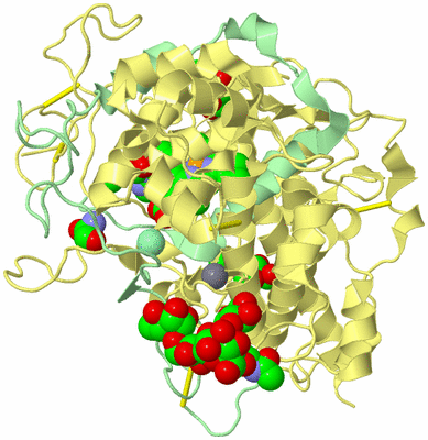 Image Biological Unit 6