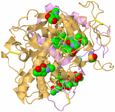 Image Biological Unit 7