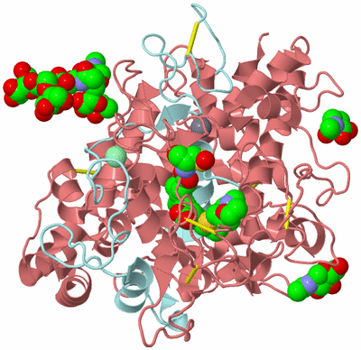 Image Biological Unit 8