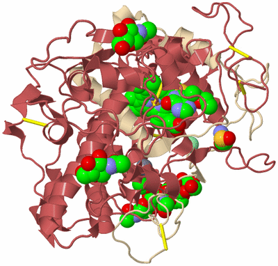 Image Biological Unit 9