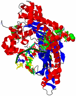 Image Asym./Biol. Unit - sites