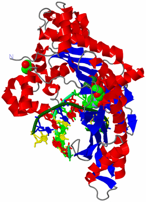 Image Asym./Biol. Unit