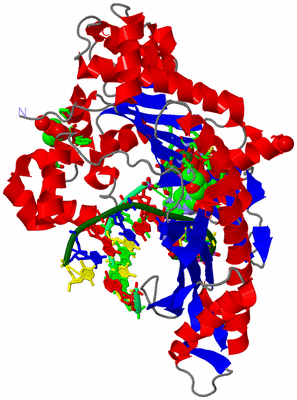 Image Asym./Biol. Unit - sites