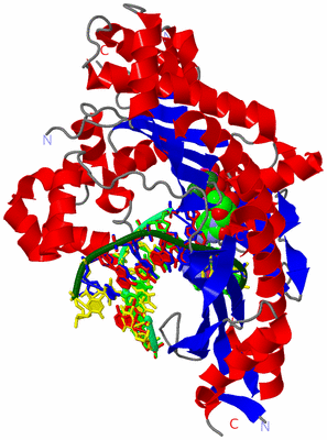 Image Asym./Biol. Unit