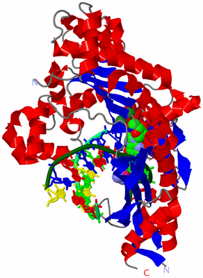 Image Asym./Biol. Unit