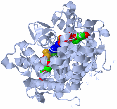 Image Biological Unit 1