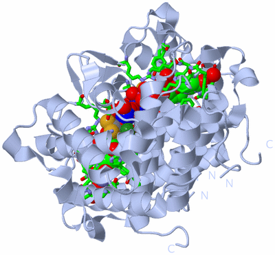 Image Biol. Unit 1 - sites