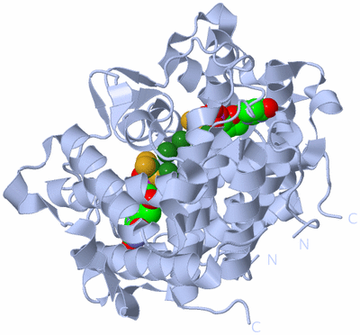 Image Biological Unit 1