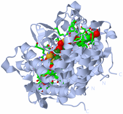 Image Biol. Unit 1 - sites