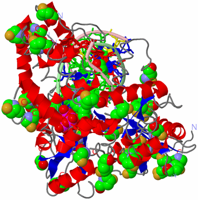 Image Asym./Biol. Unit