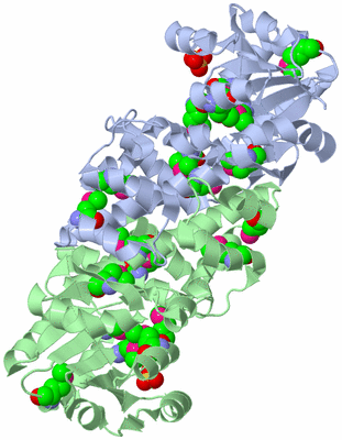 Image Asym./Biol. Unit