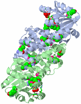 Image Asym./Biol. Unit - sites