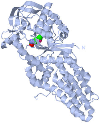 Image Biological Unit 1