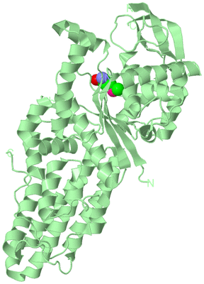 Image Biological Unit 2