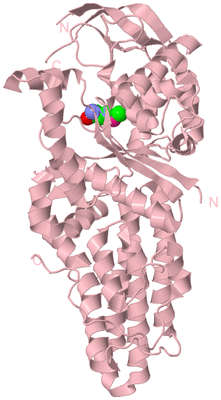 Image Biological Unit 3