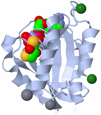 Image Biological Unit 1