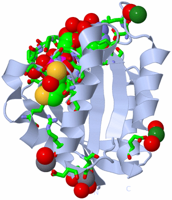 Image Biol. Unit 1 - sites