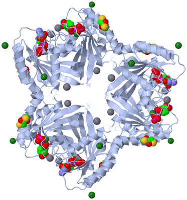 Image Biological Unit 2