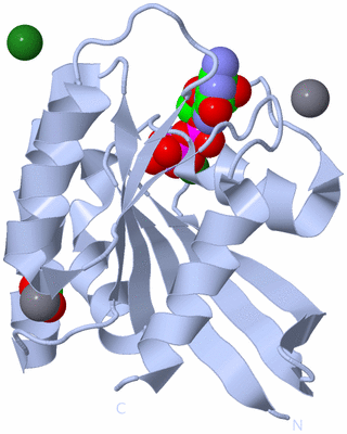 Image Biological Unit 1