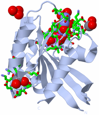 Image Biol. Unit 1 - sites