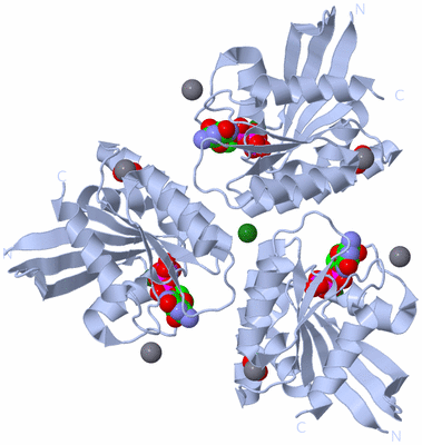 Image Biological Unit 2