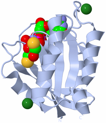 Image Biological Unit 1