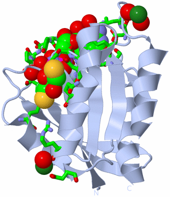 Image Biol. Unit 1 - sites