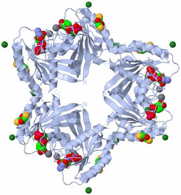 Image Biological Unit 2