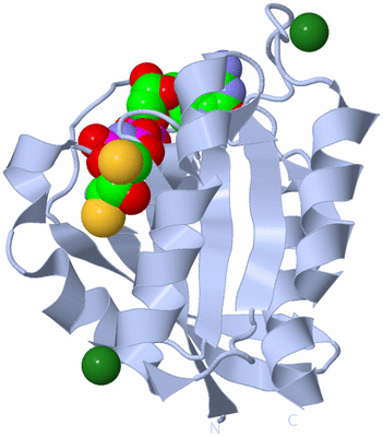 Image Biological Unit 1