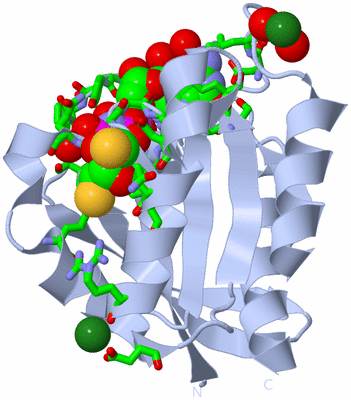 Image Biol. Unit 1 - sites