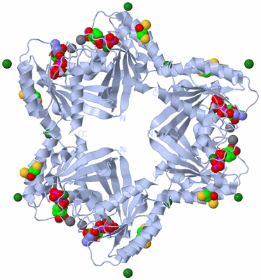 Image Biological Unit 2