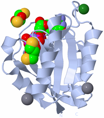 Image Biological Unit 1