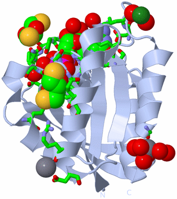 Image Biol. Unit 1 - sites