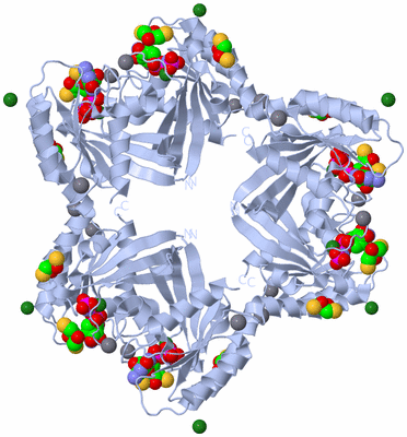 Image Biological Unit 2