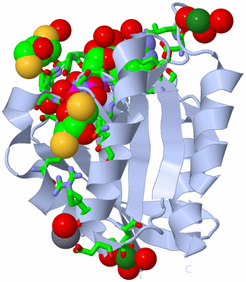 Image Biol. Unit 1 - sites