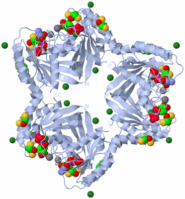 Image Biological Unit 2