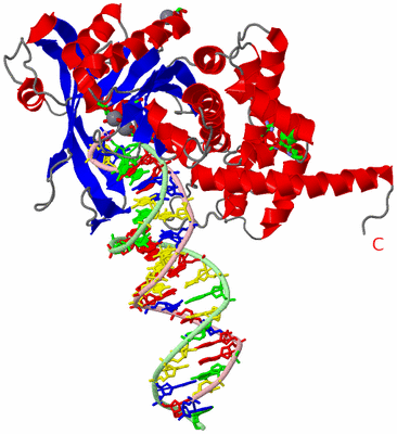 Image Asym. Unit - sites