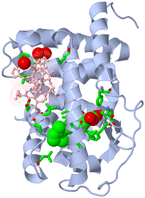 Image Biol. Unit 1 - sites