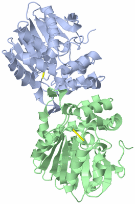 Image Biological Unit 1