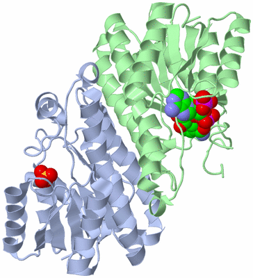 Image Biological Unit 1