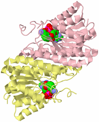 Image Biological Unit 2