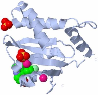 Image Biological Unit 1