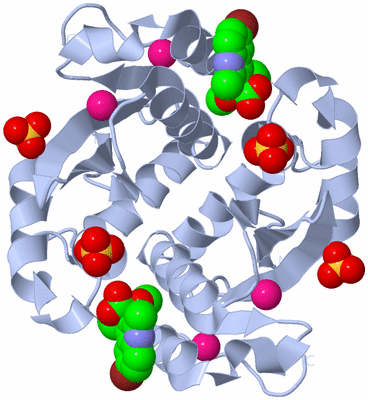 Image Biological Unit 2